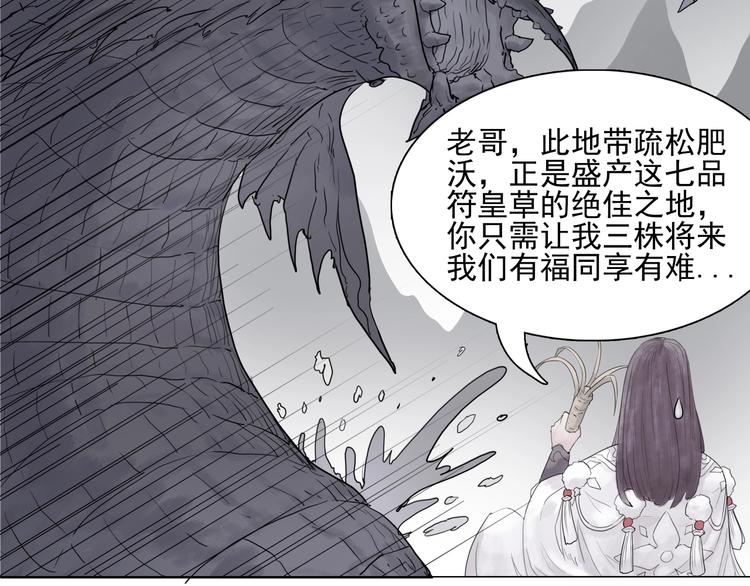 完结篇 上古传送阵56