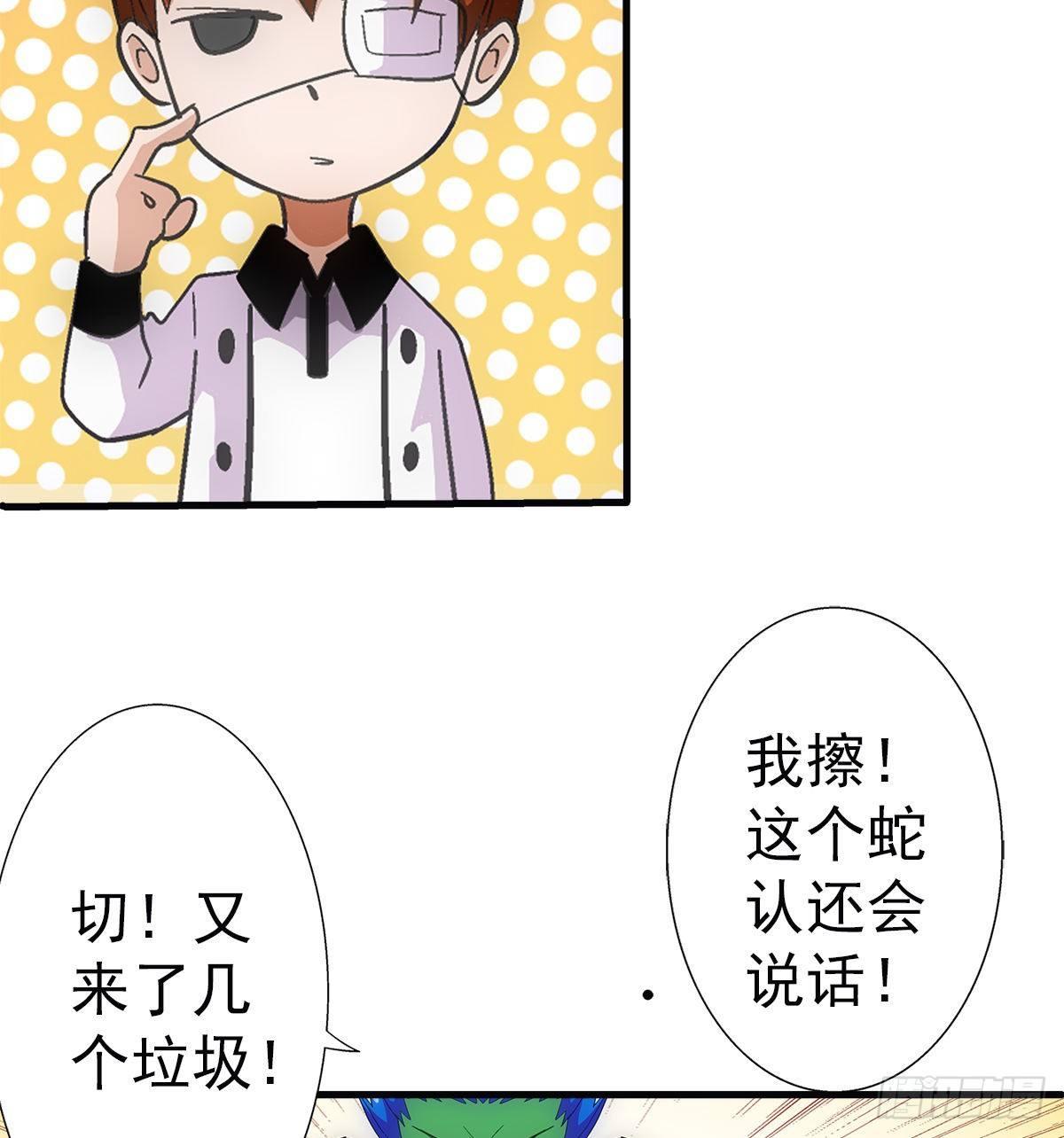 34奔雷13