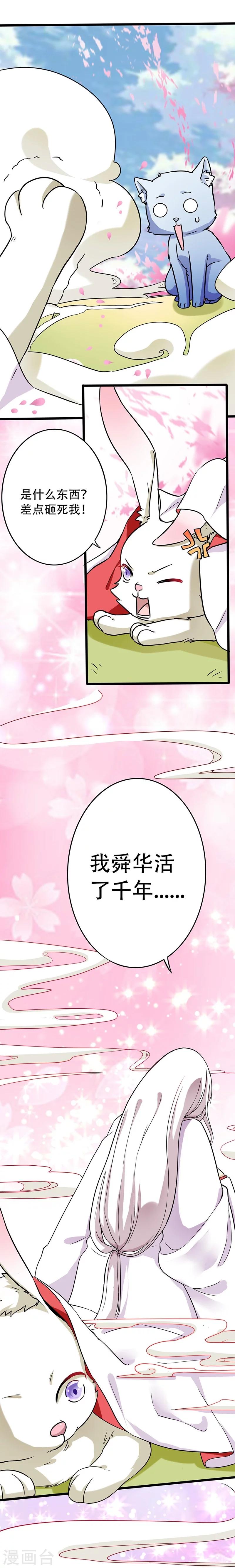 第1话 棉兔小棉12