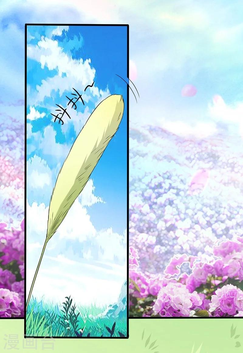 第1话 棉兔小棉1