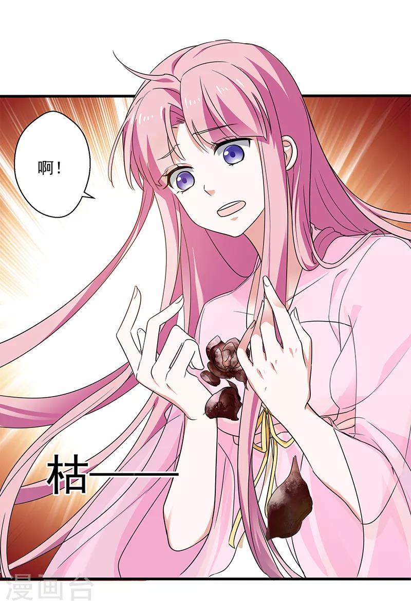 第19话 蔷薇花谢18