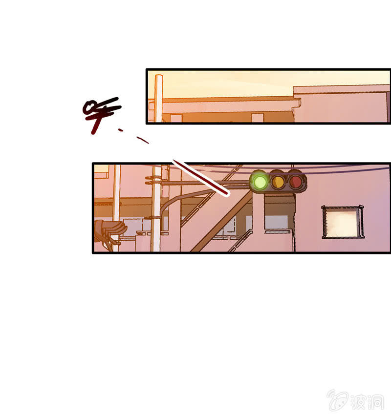 找狗35
