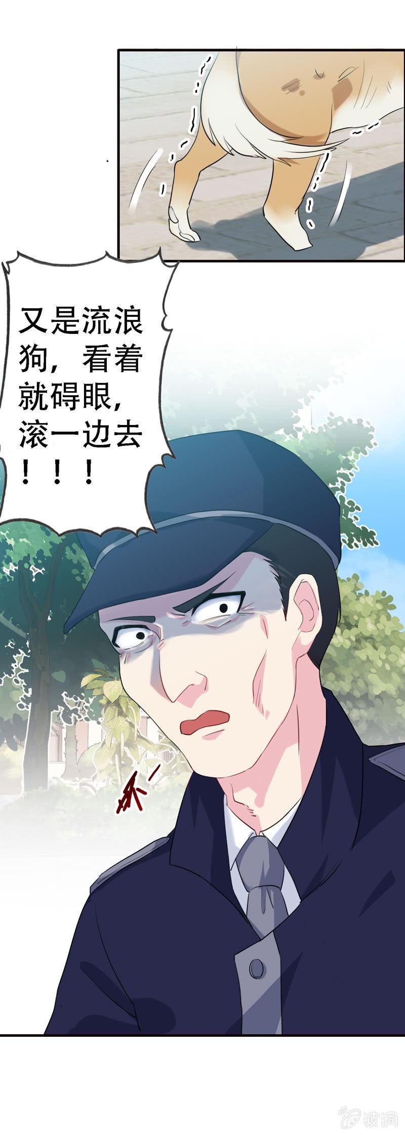 找狗12