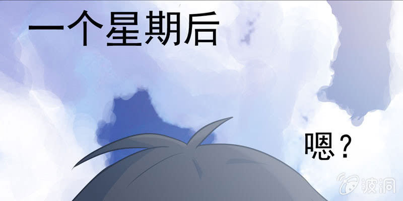 社会摇065