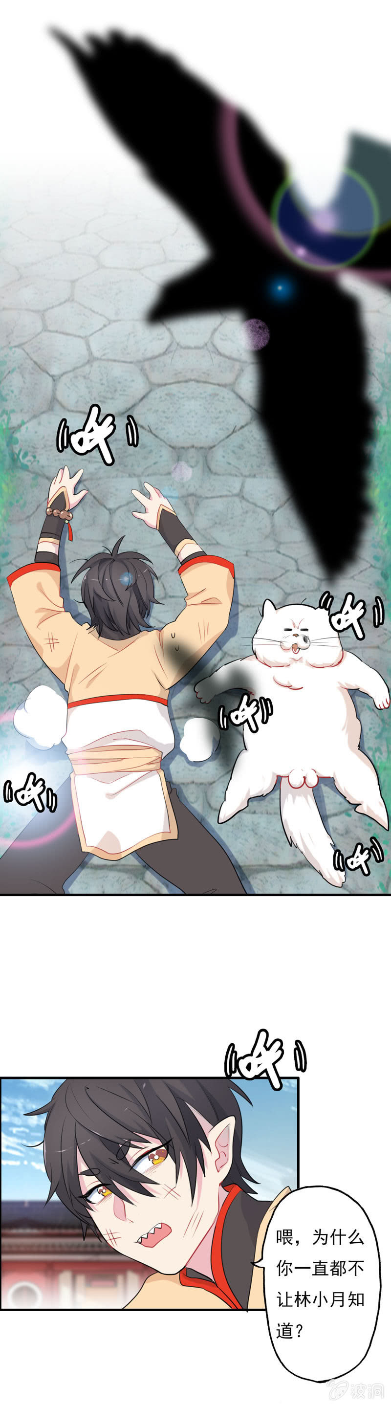 猫神现身13