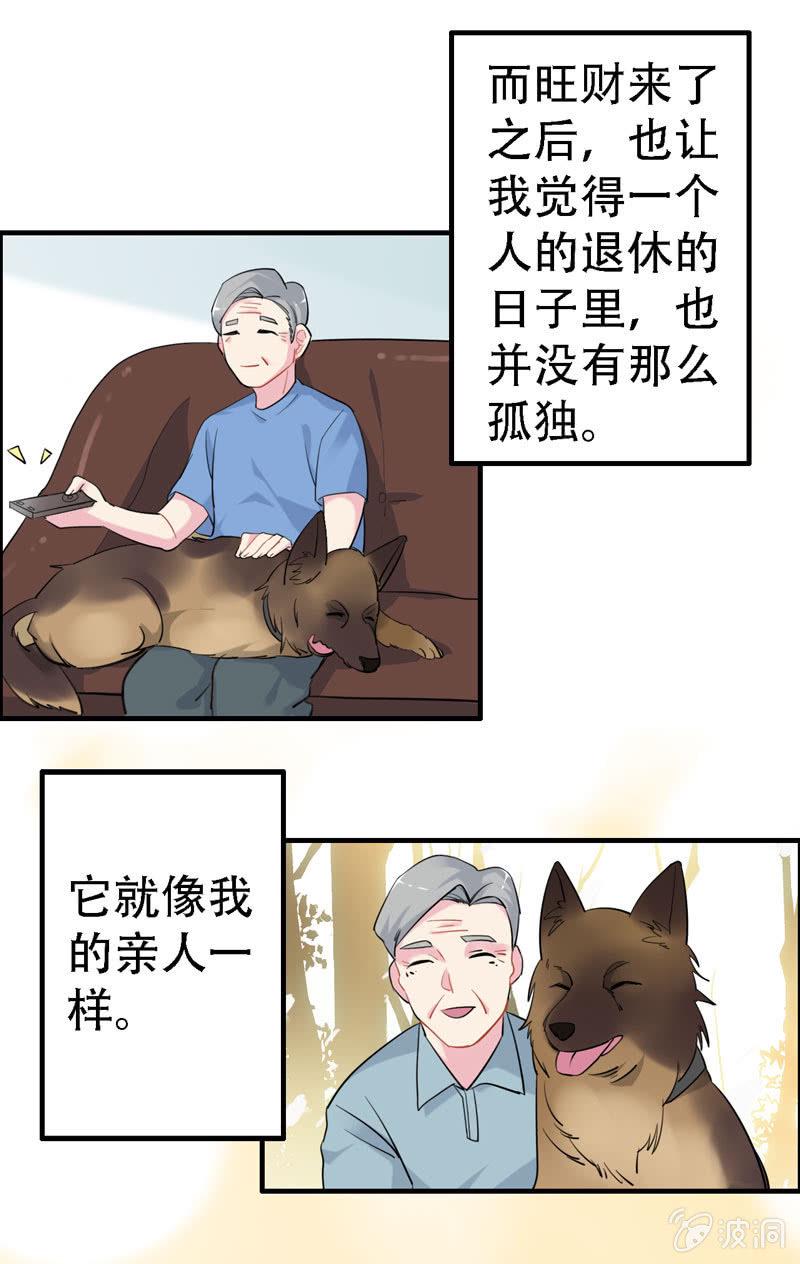 找狗1
