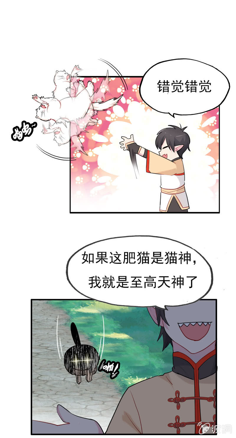 猫神现身11