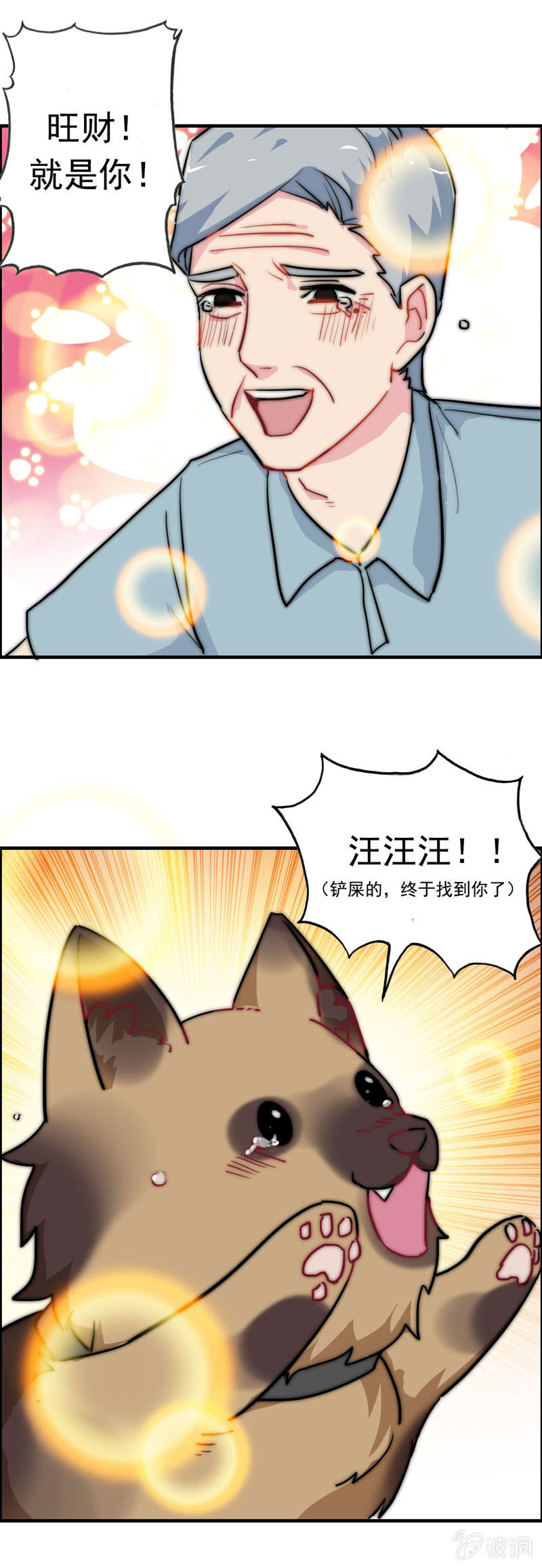 找狗0433