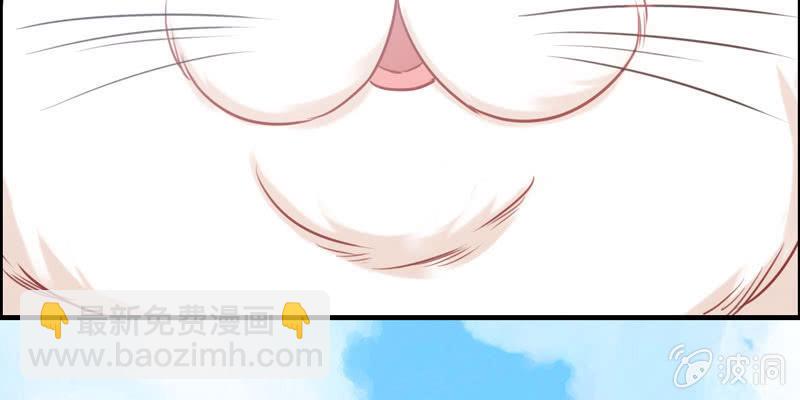 开端017