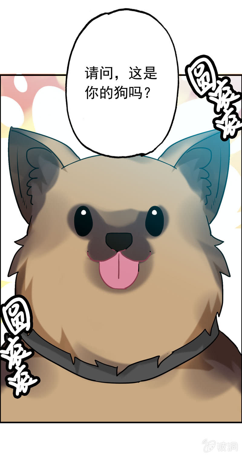 找狗0430