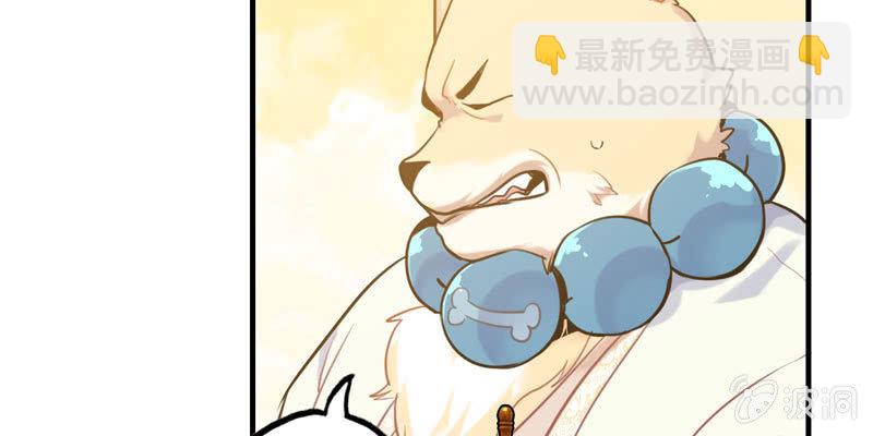 从天而降40