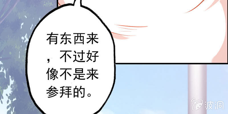 社会摇06161