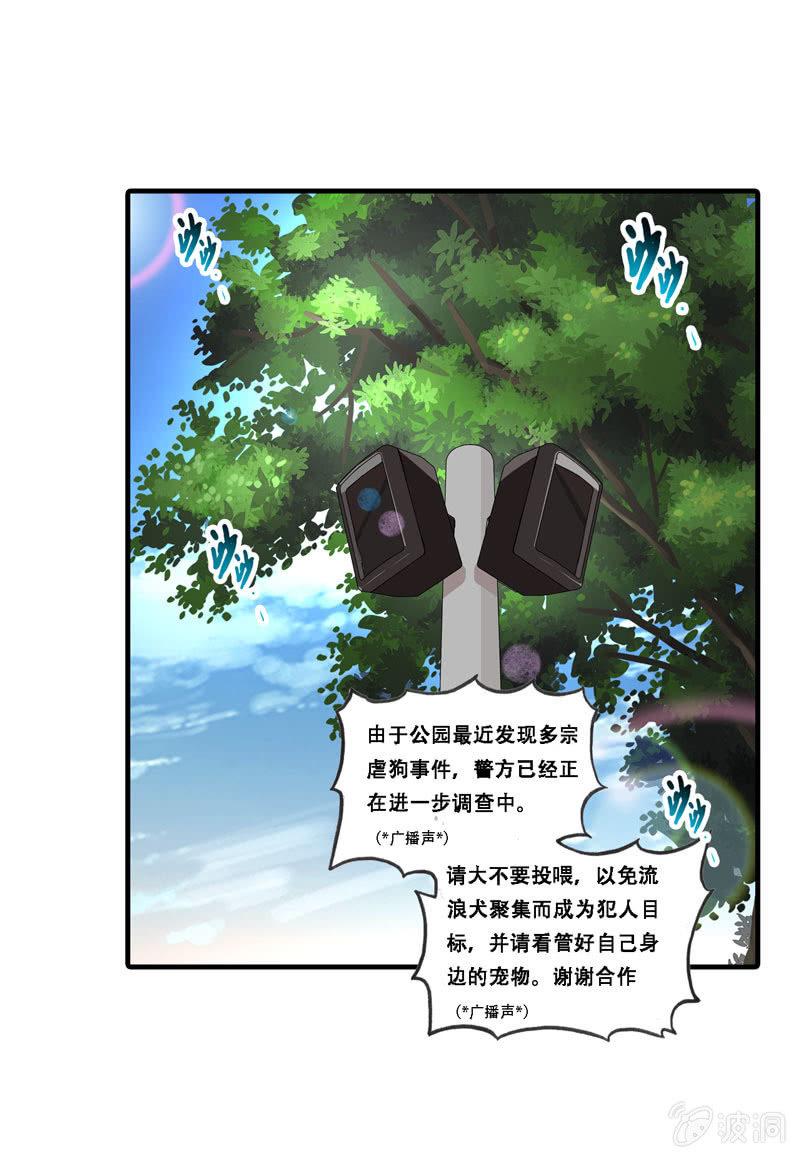 找狗8