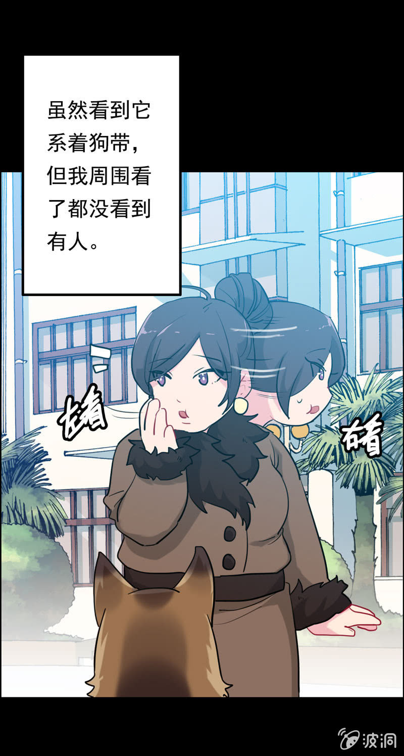 找狗0436