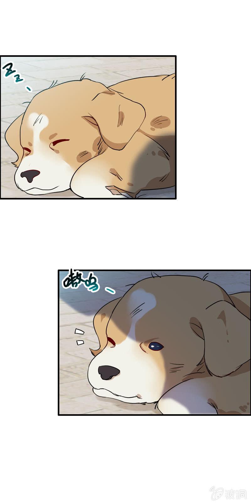 找狗10