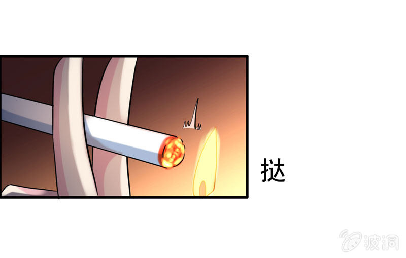 社会摇0229