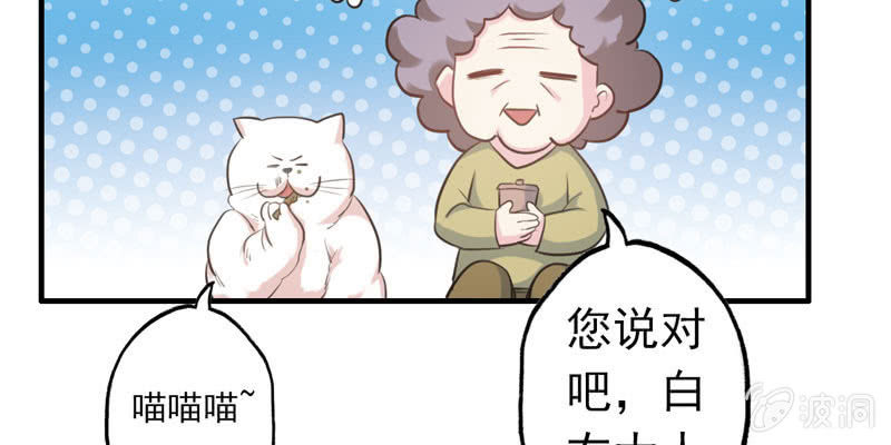 社会摇06147
