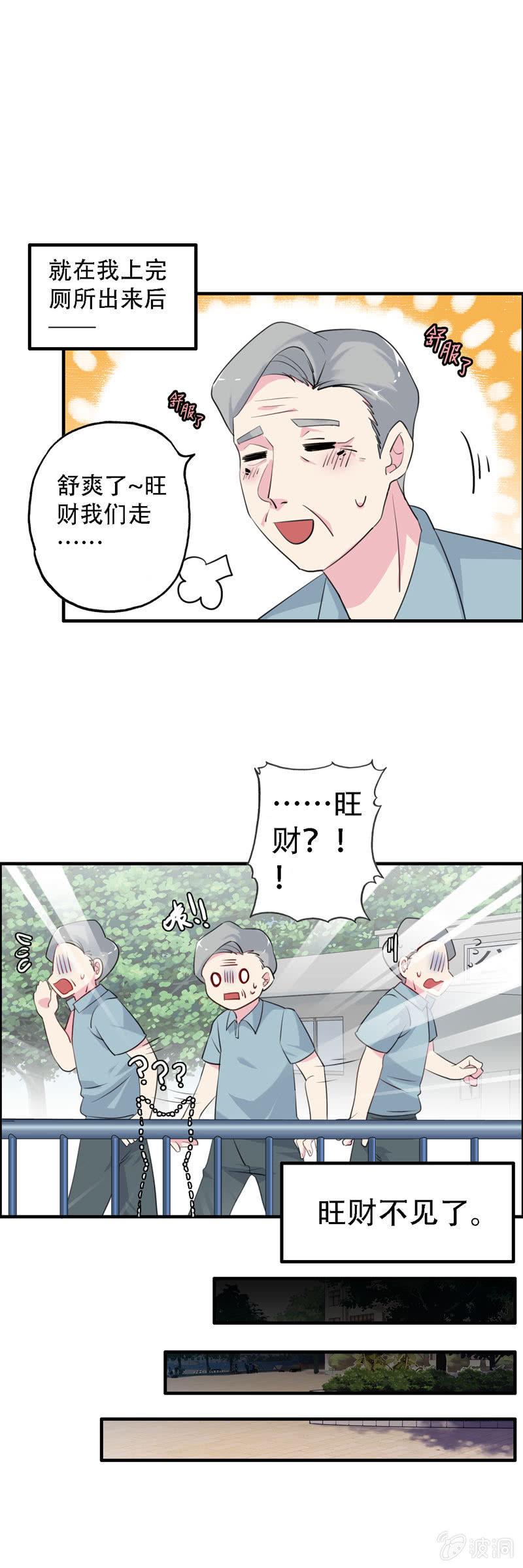 找狗4