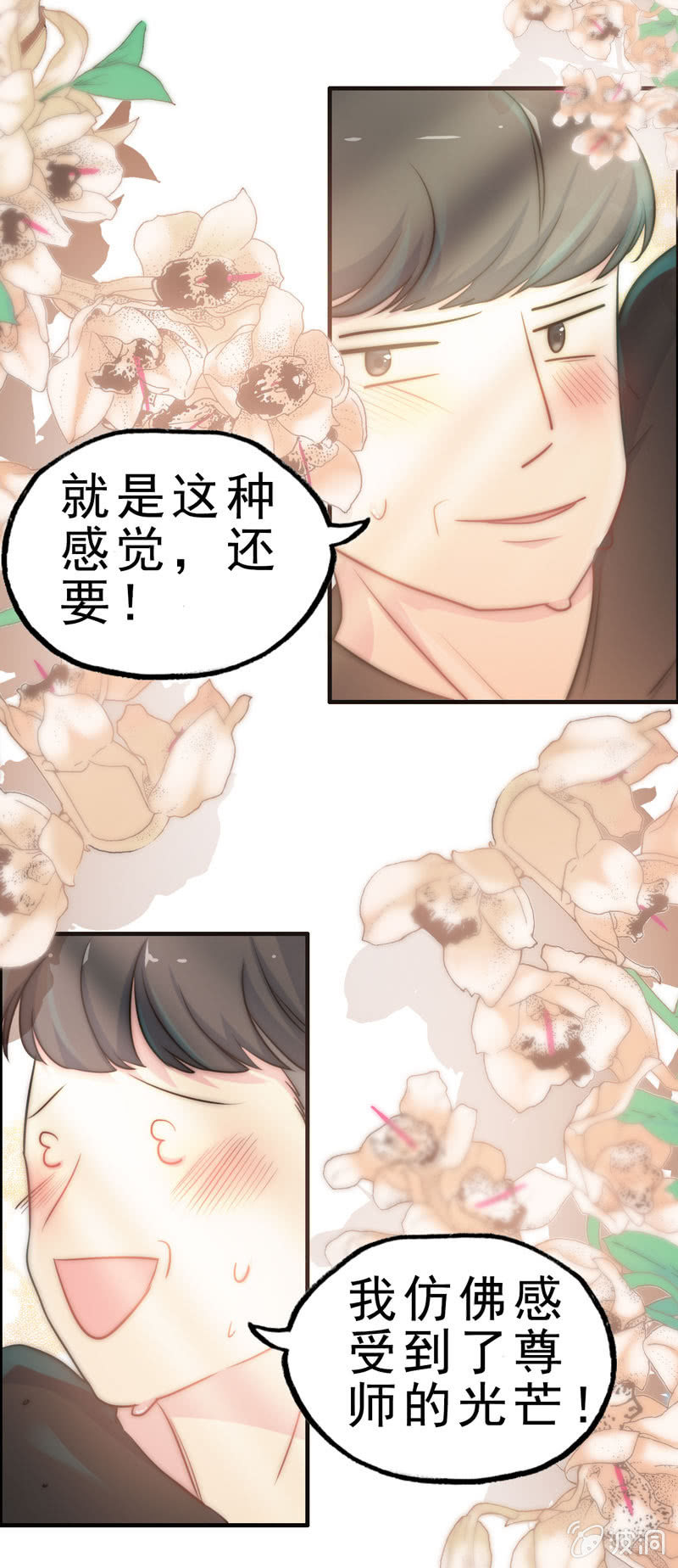 社会摇0116
