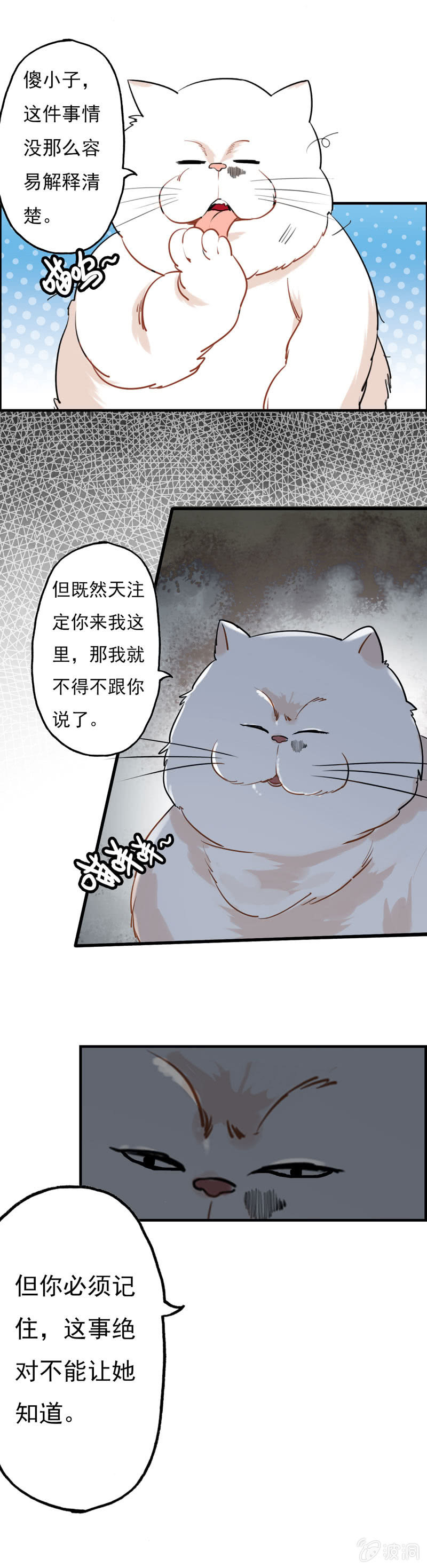 猫神现身14