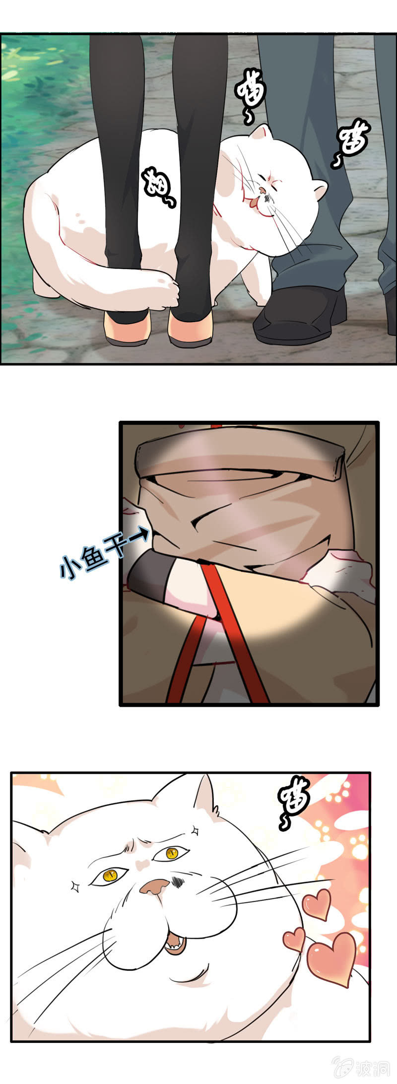 猫神现身17