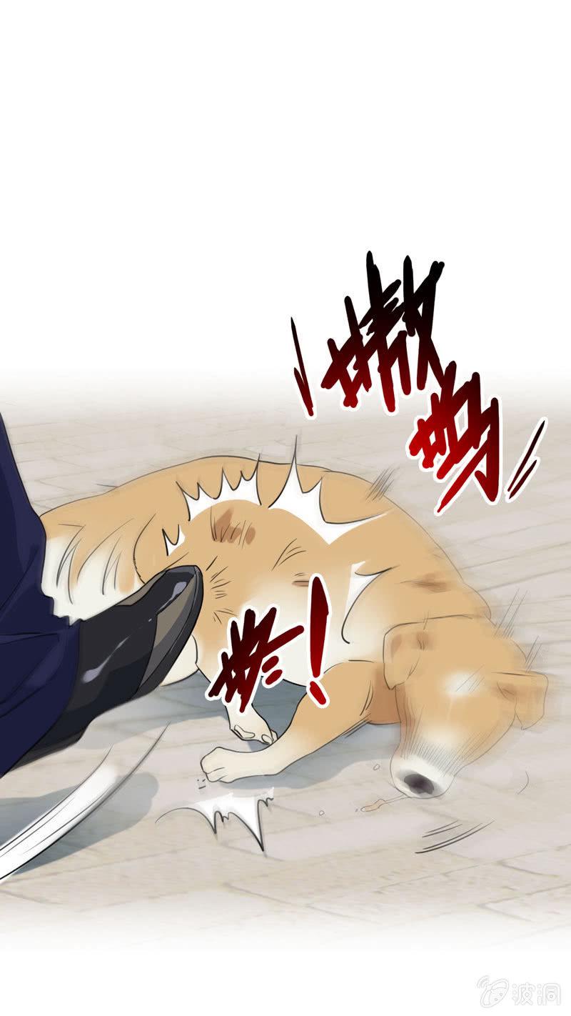 找狗11