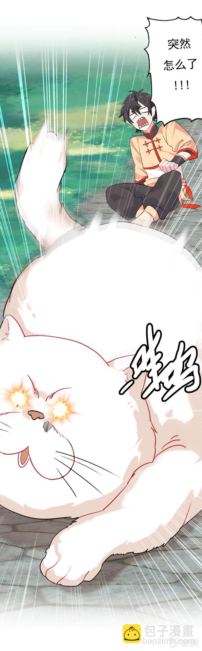 猫神现身16