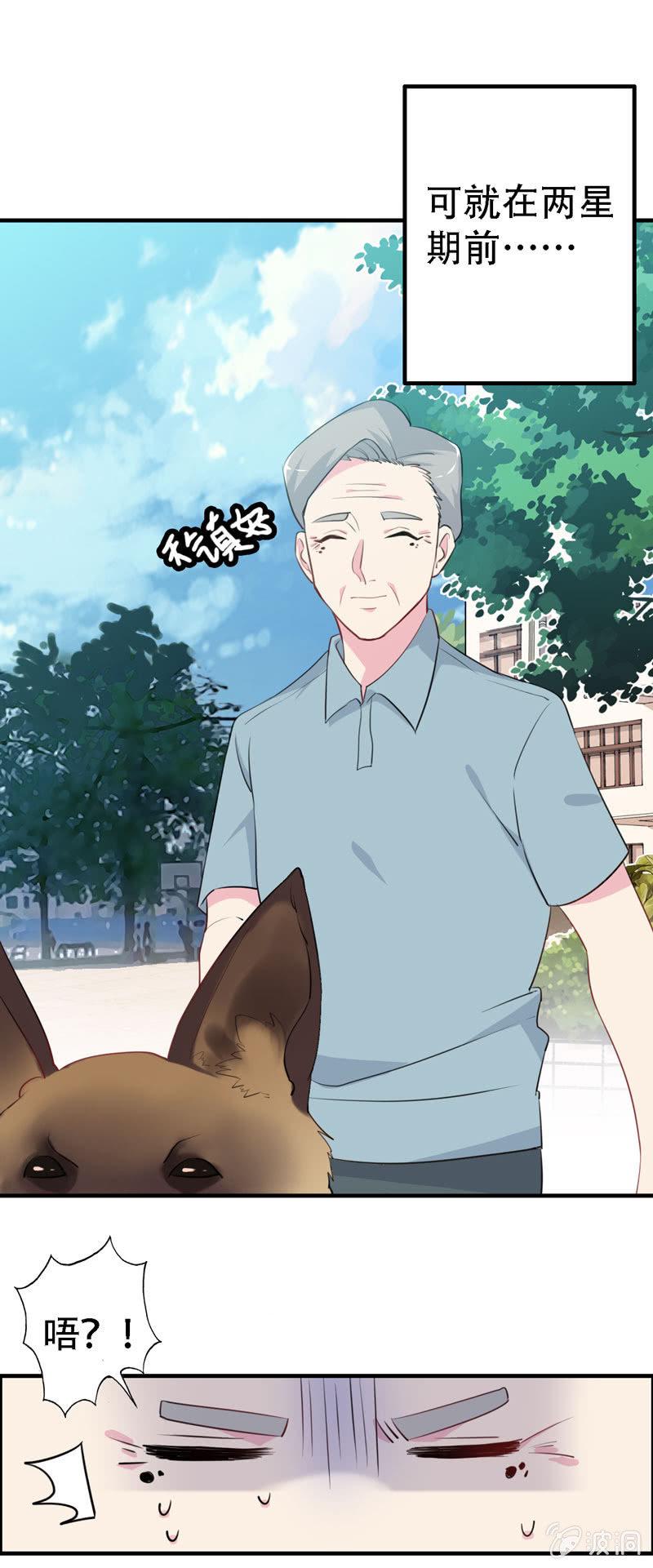 找狗2