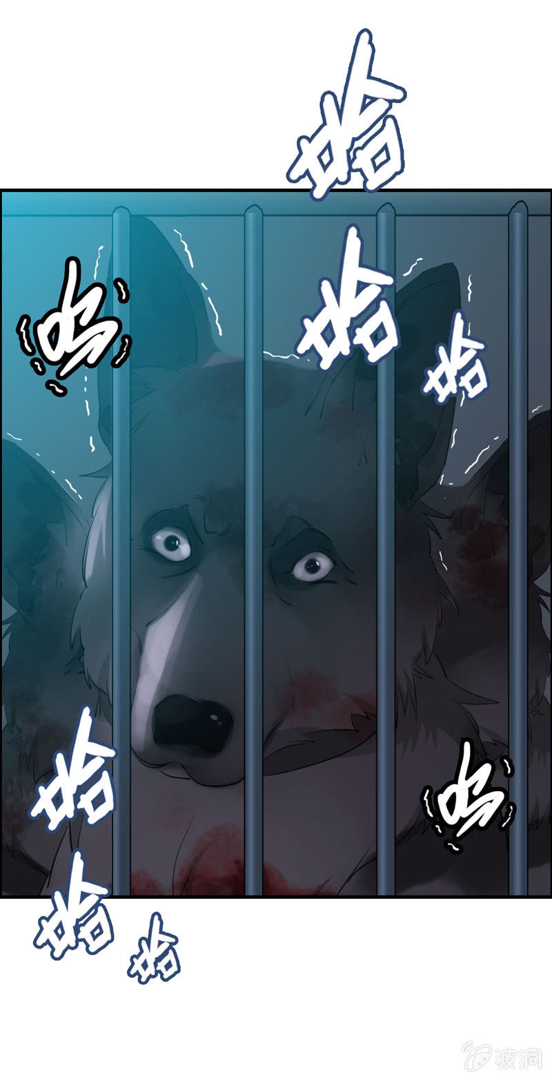 找狗029