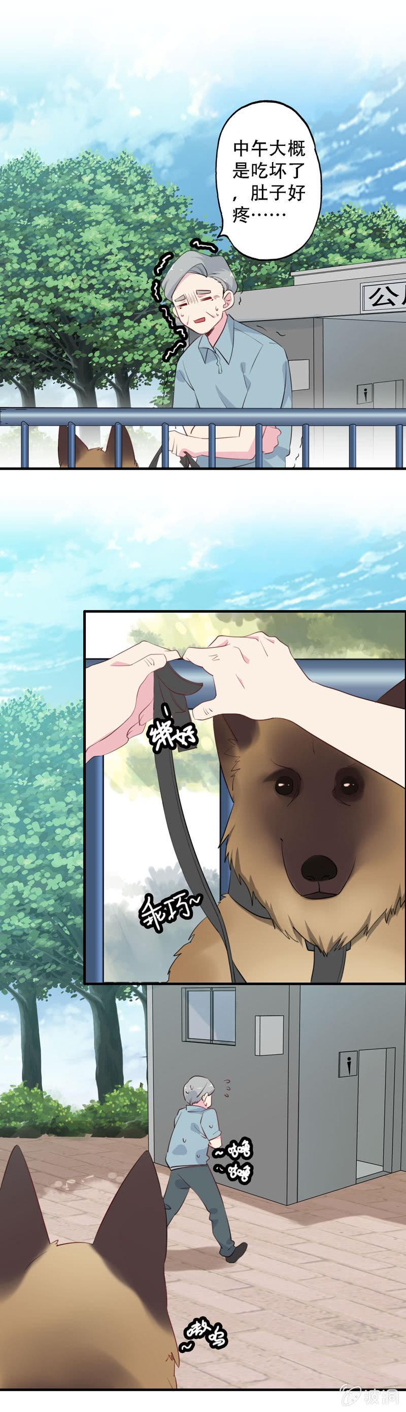 找狗3
