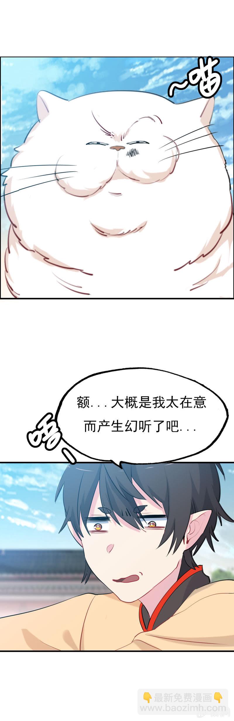 猫神现身10