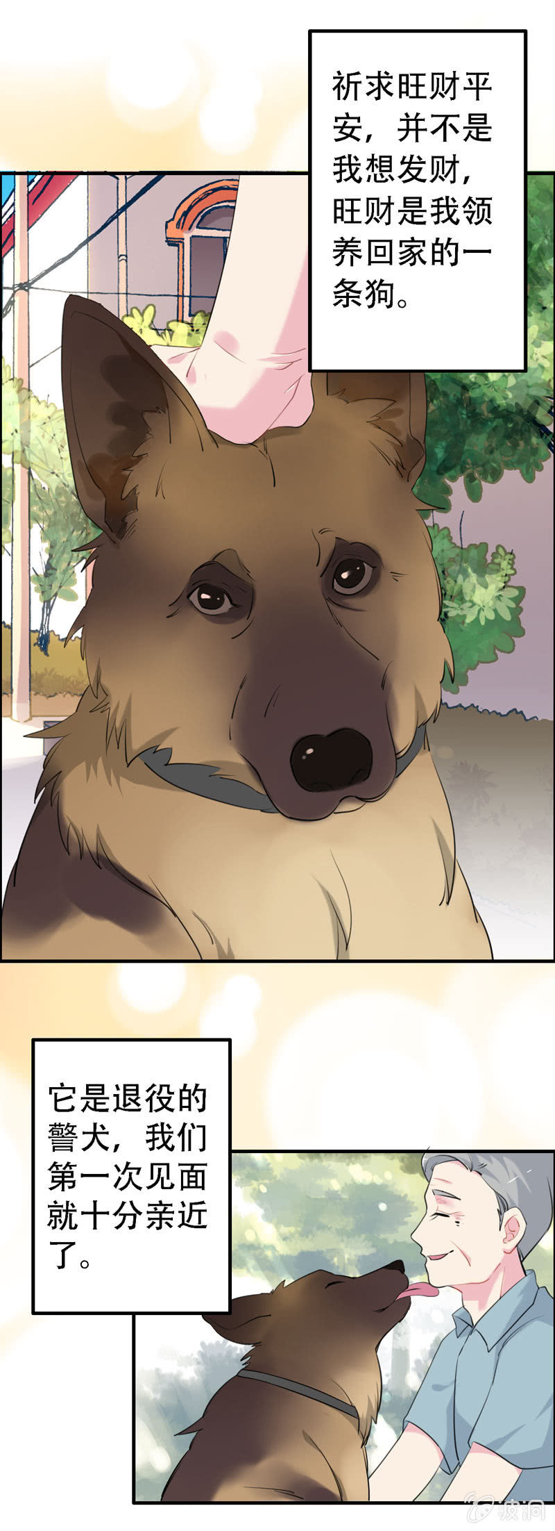 找狗0