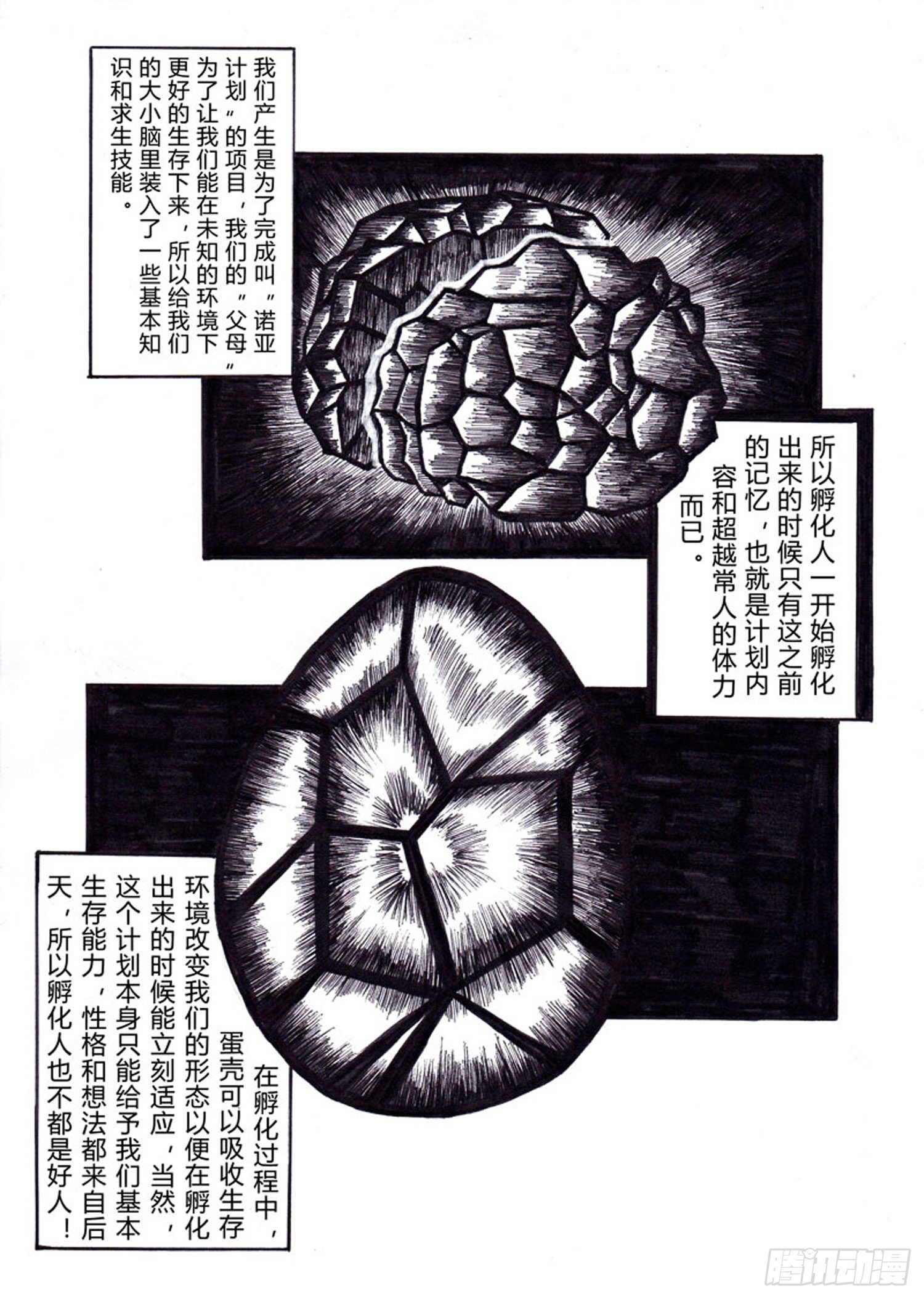 105 观察者5