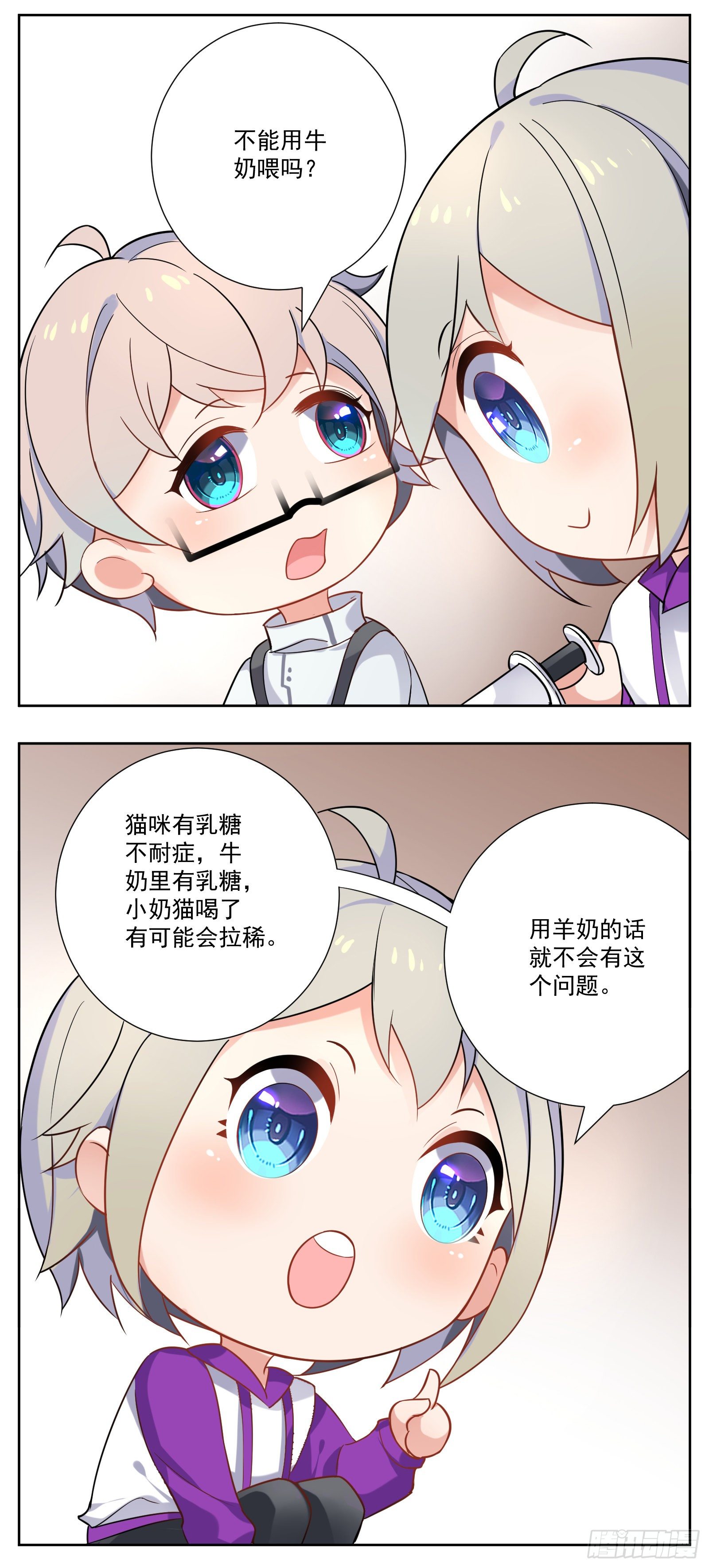 猫咪19