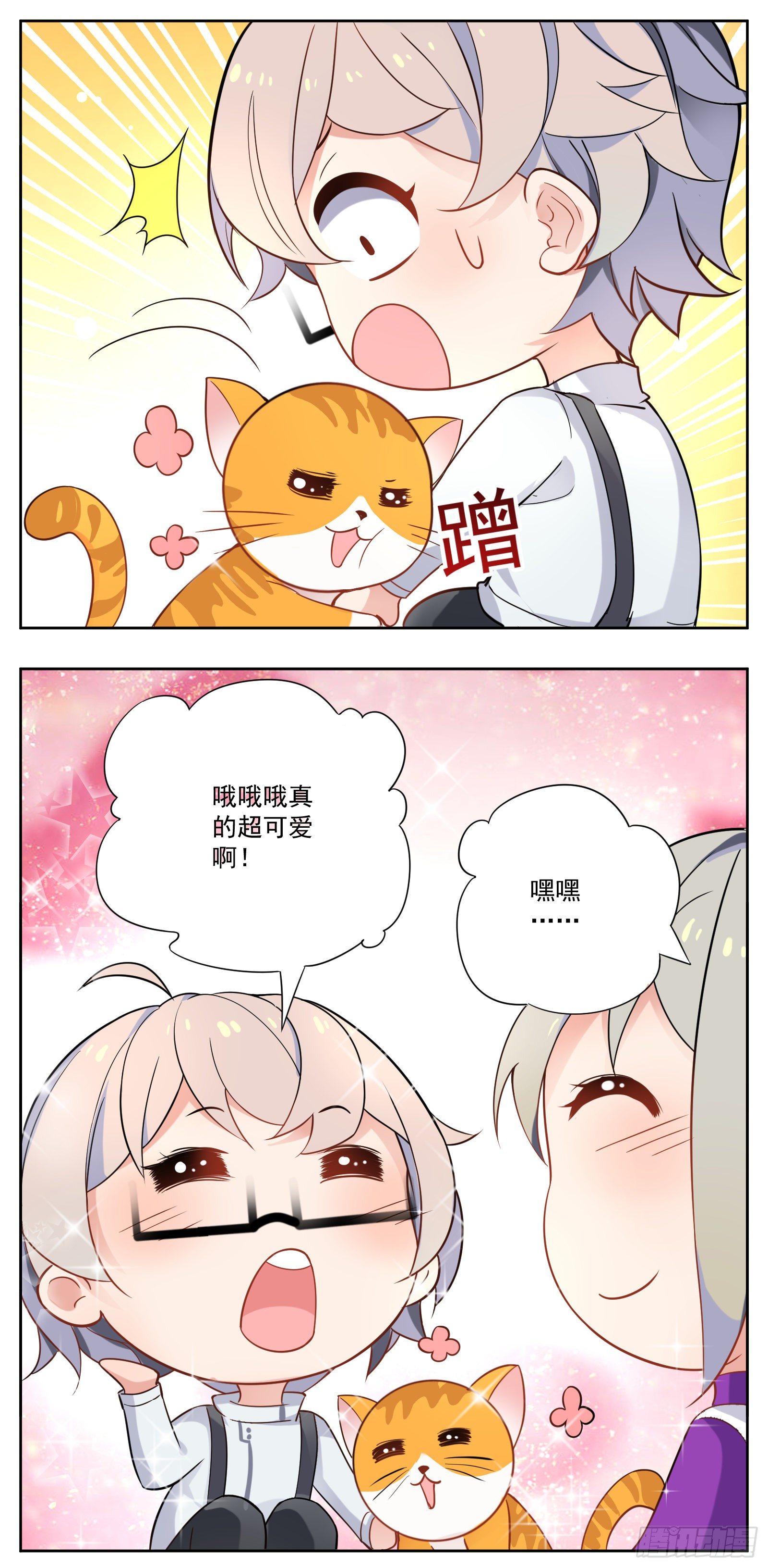 猫咪22