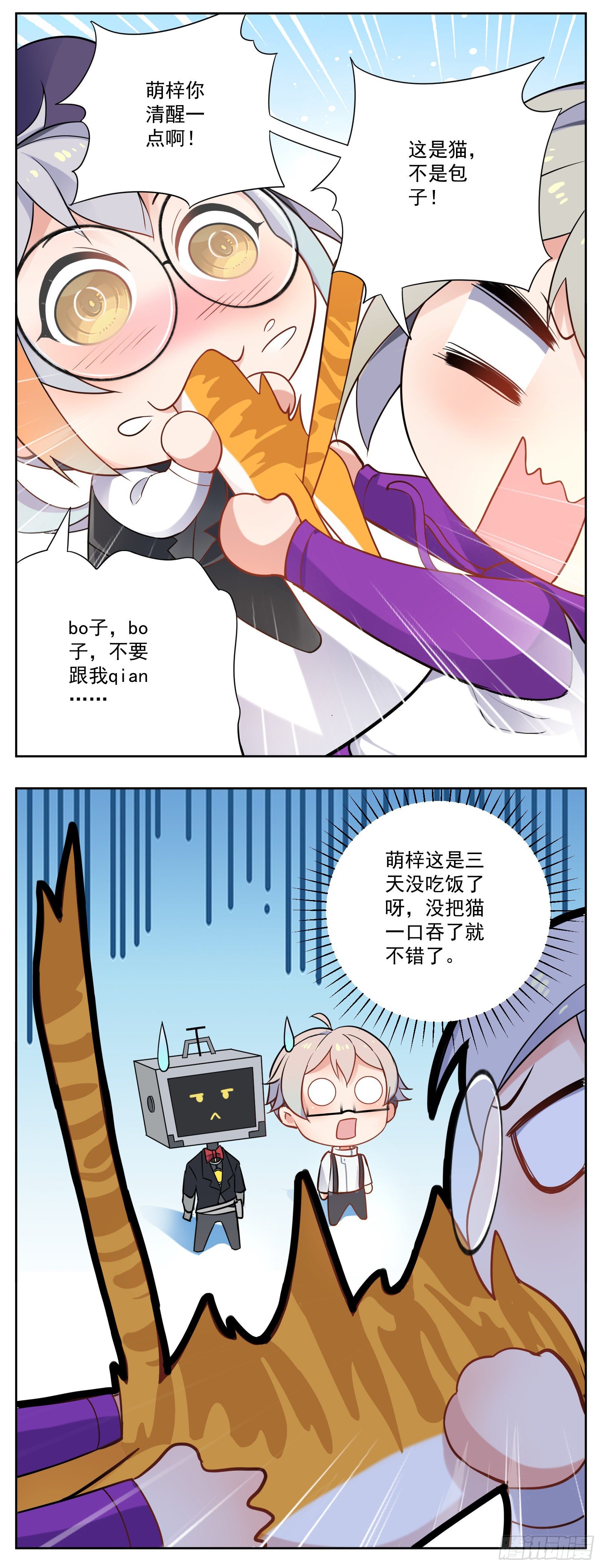 猫咪17
