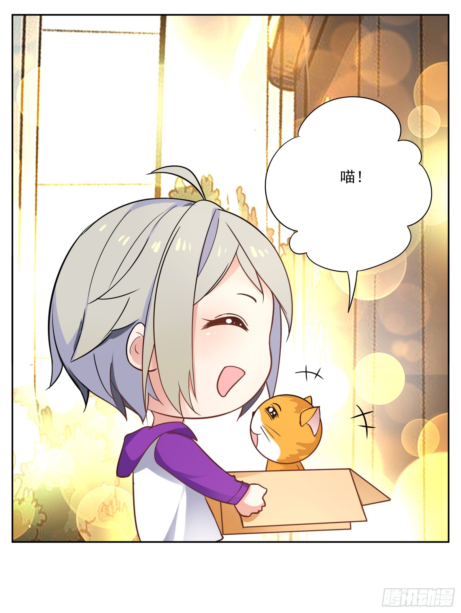 猫咪33