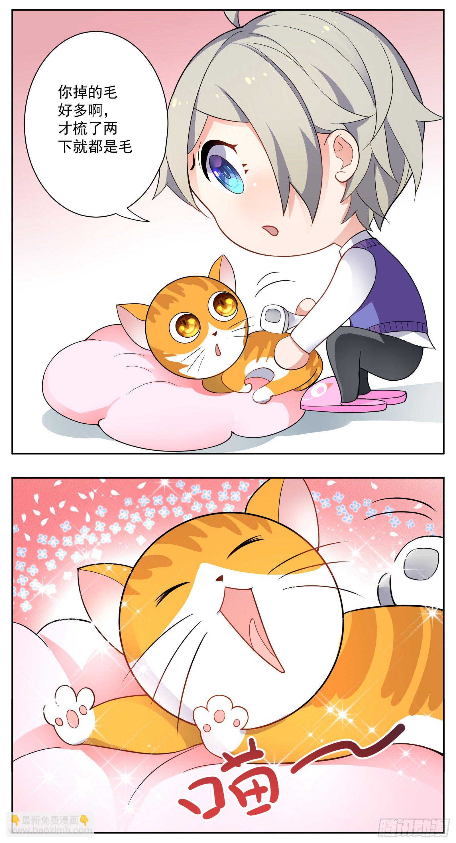 脱发24