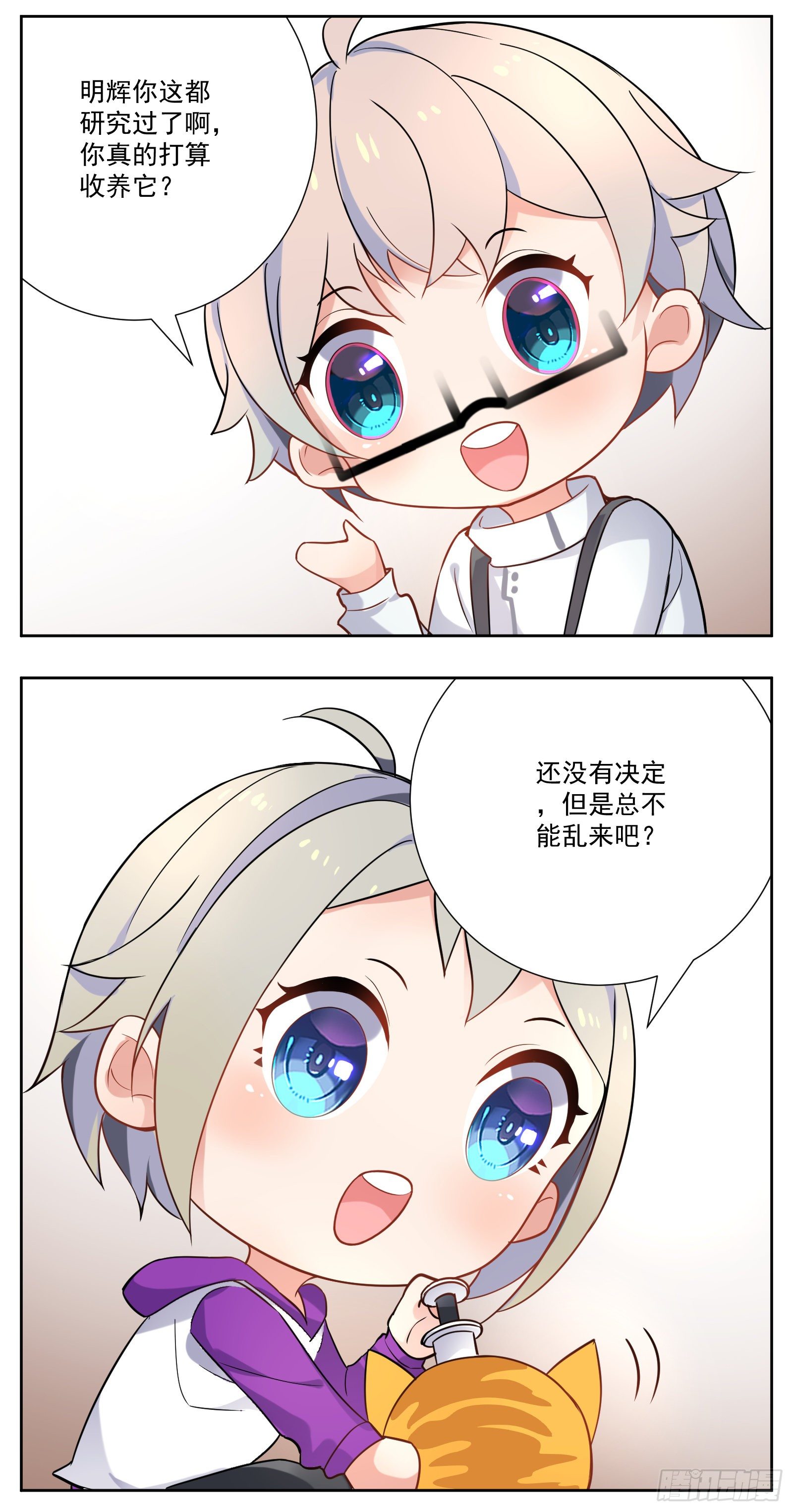 猫咪20