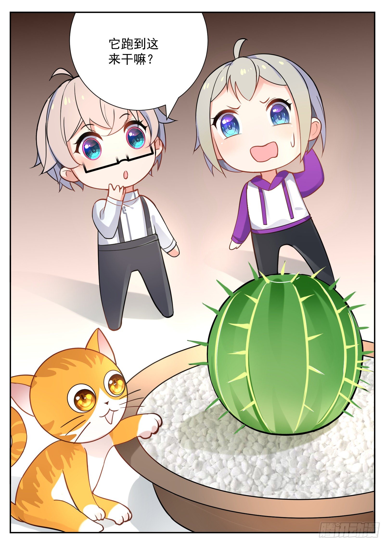 猫咪24
