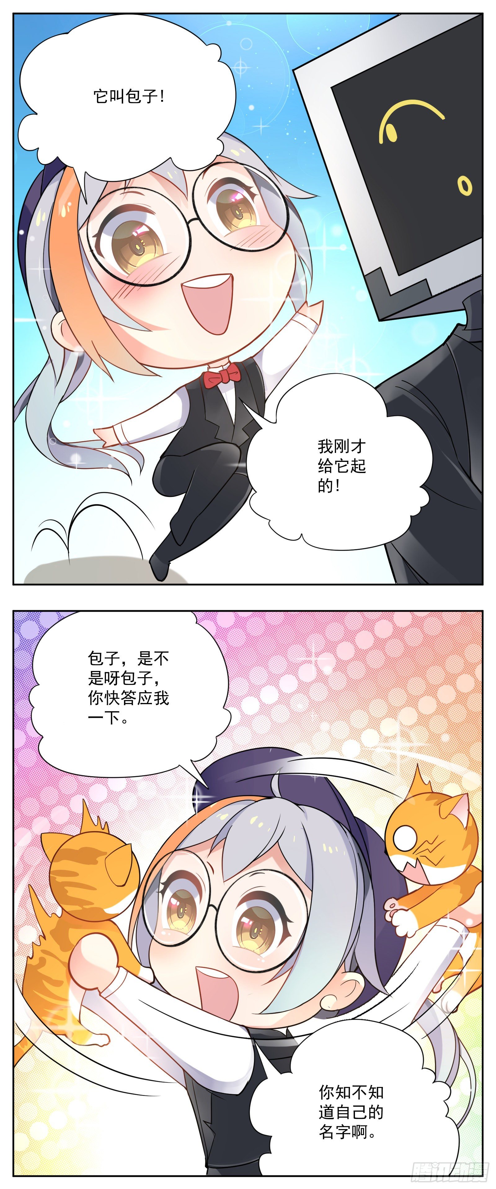 猫咪13