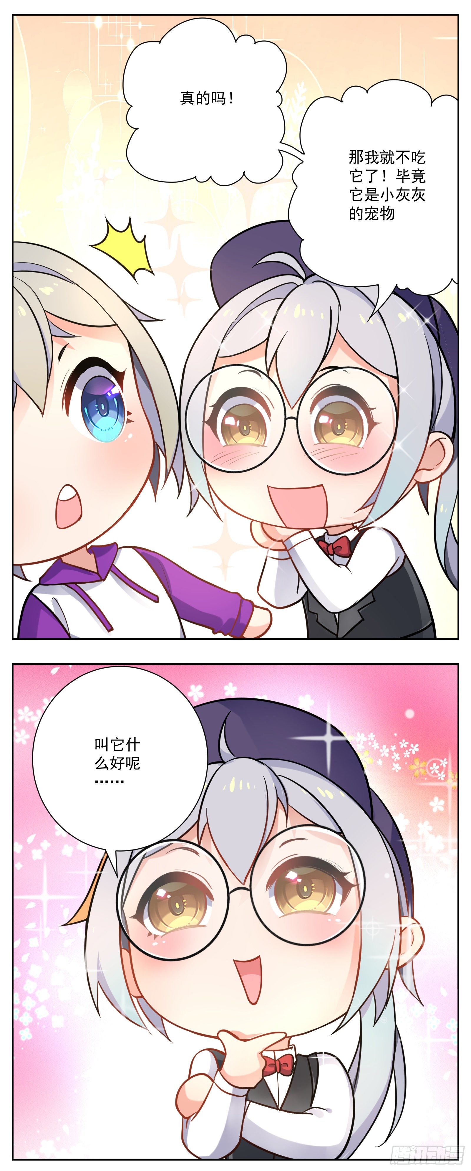 猫咪8