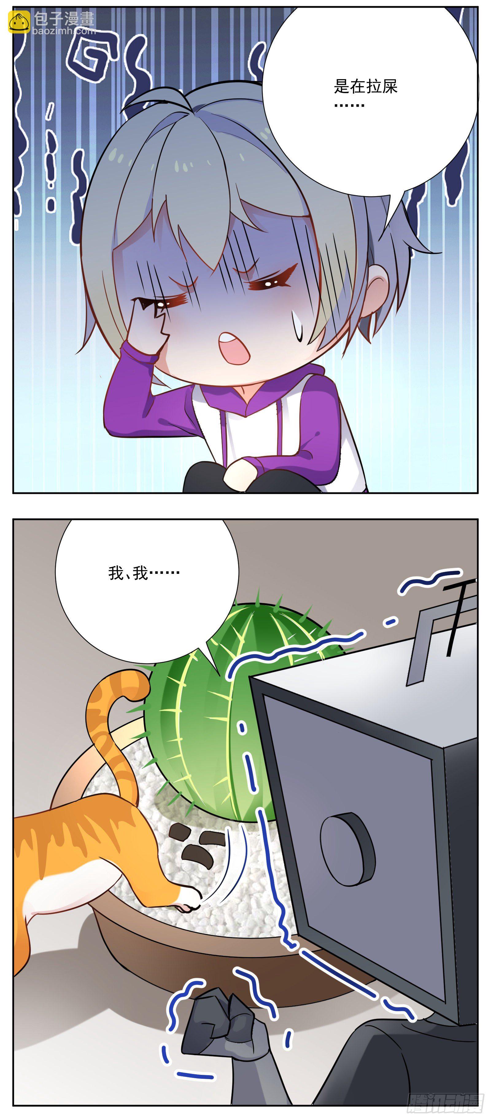 猫咪29