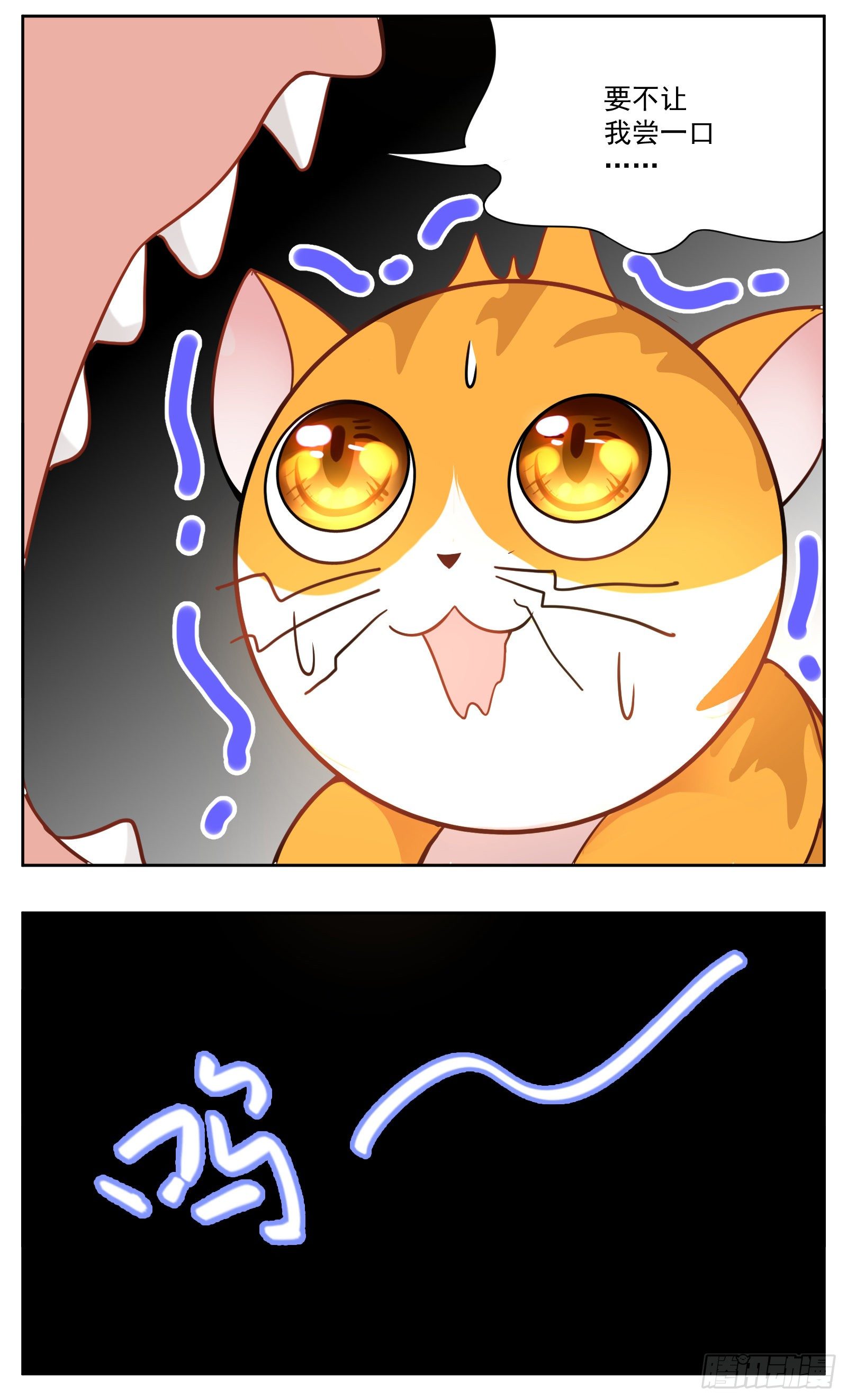 猫咪16