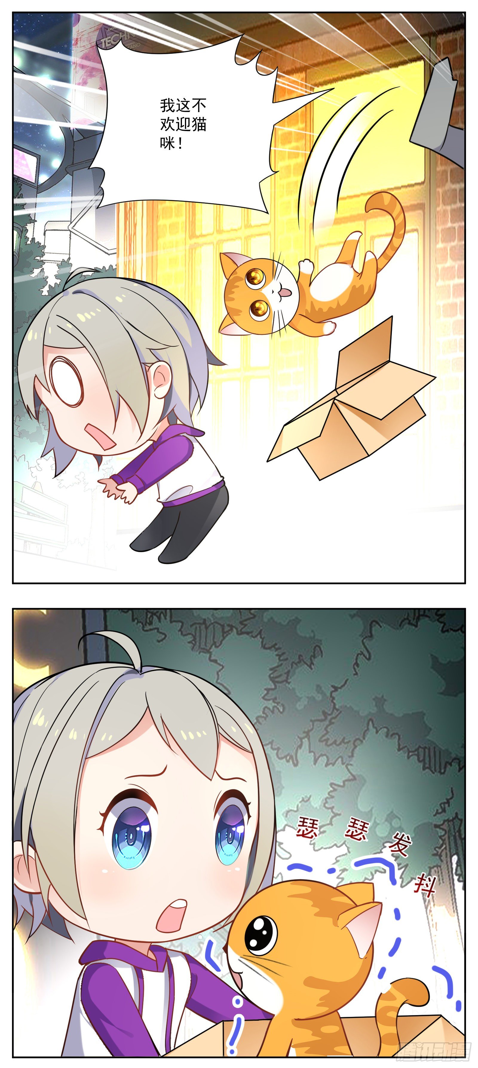 猫咪31