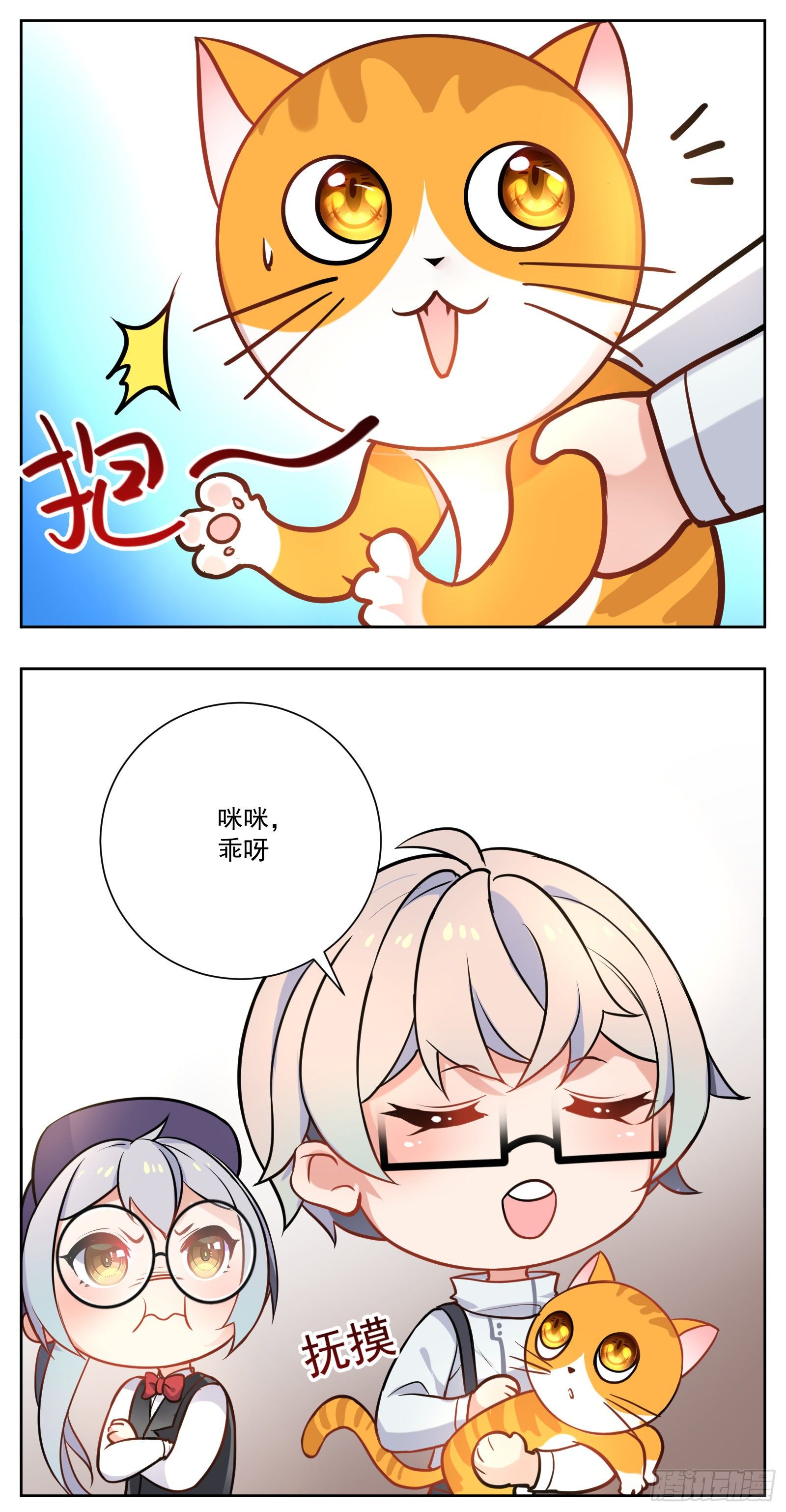 猫咪6