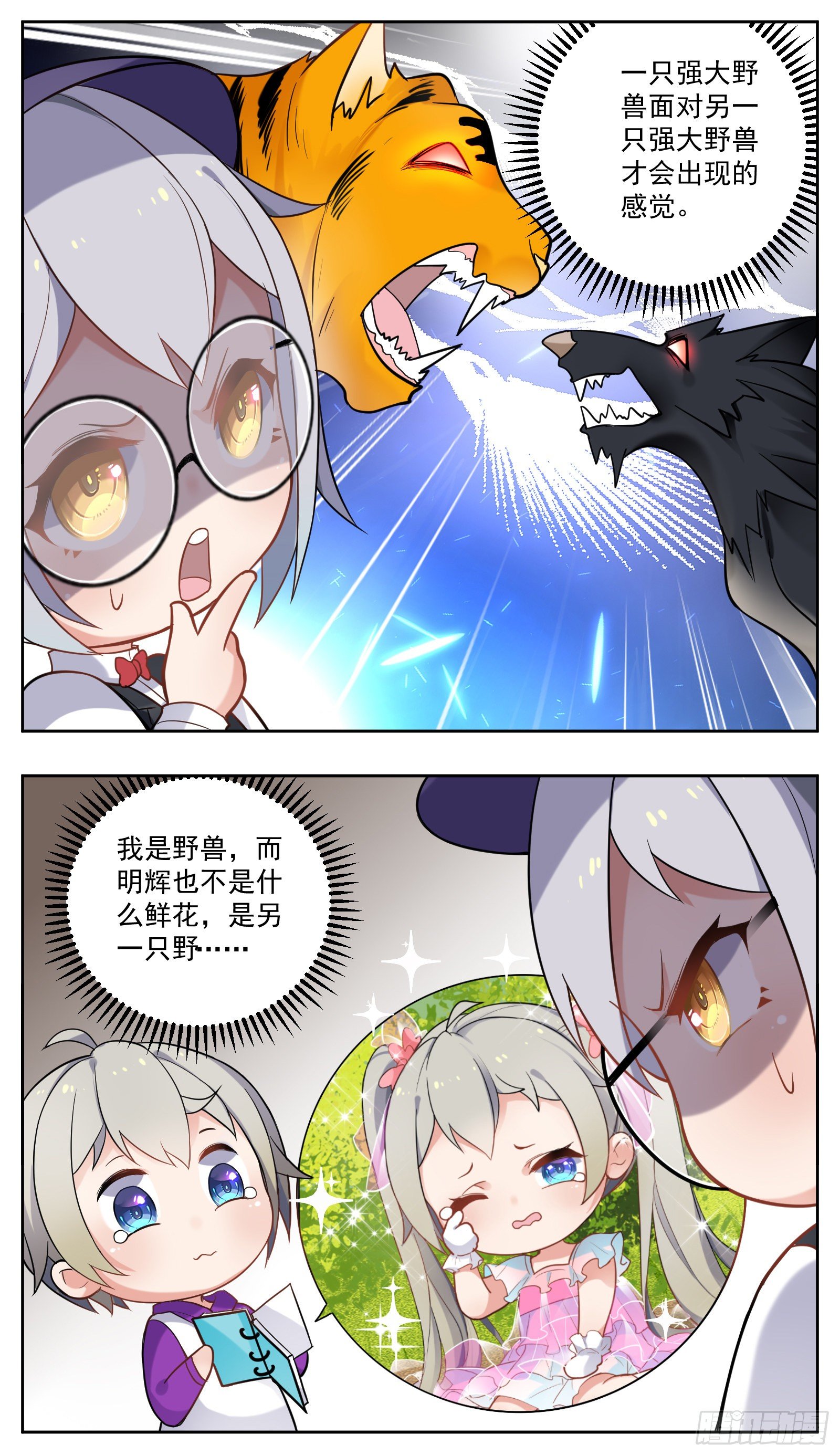 相册13