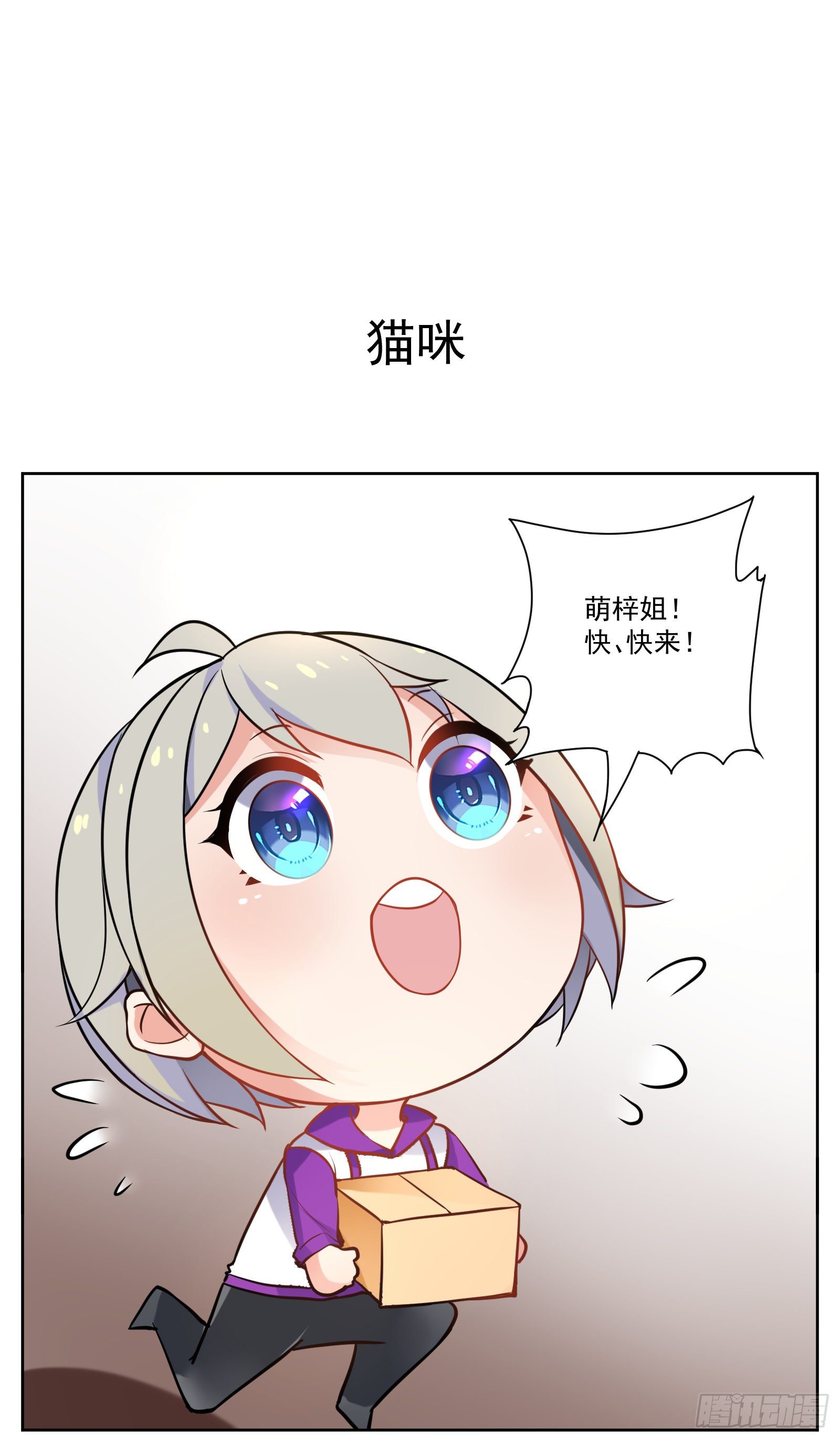 猫咪0