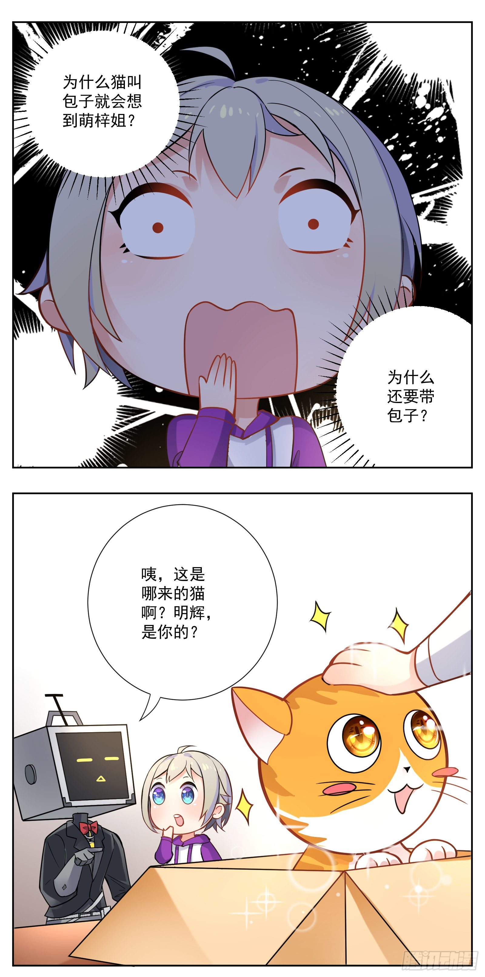 猫咪11