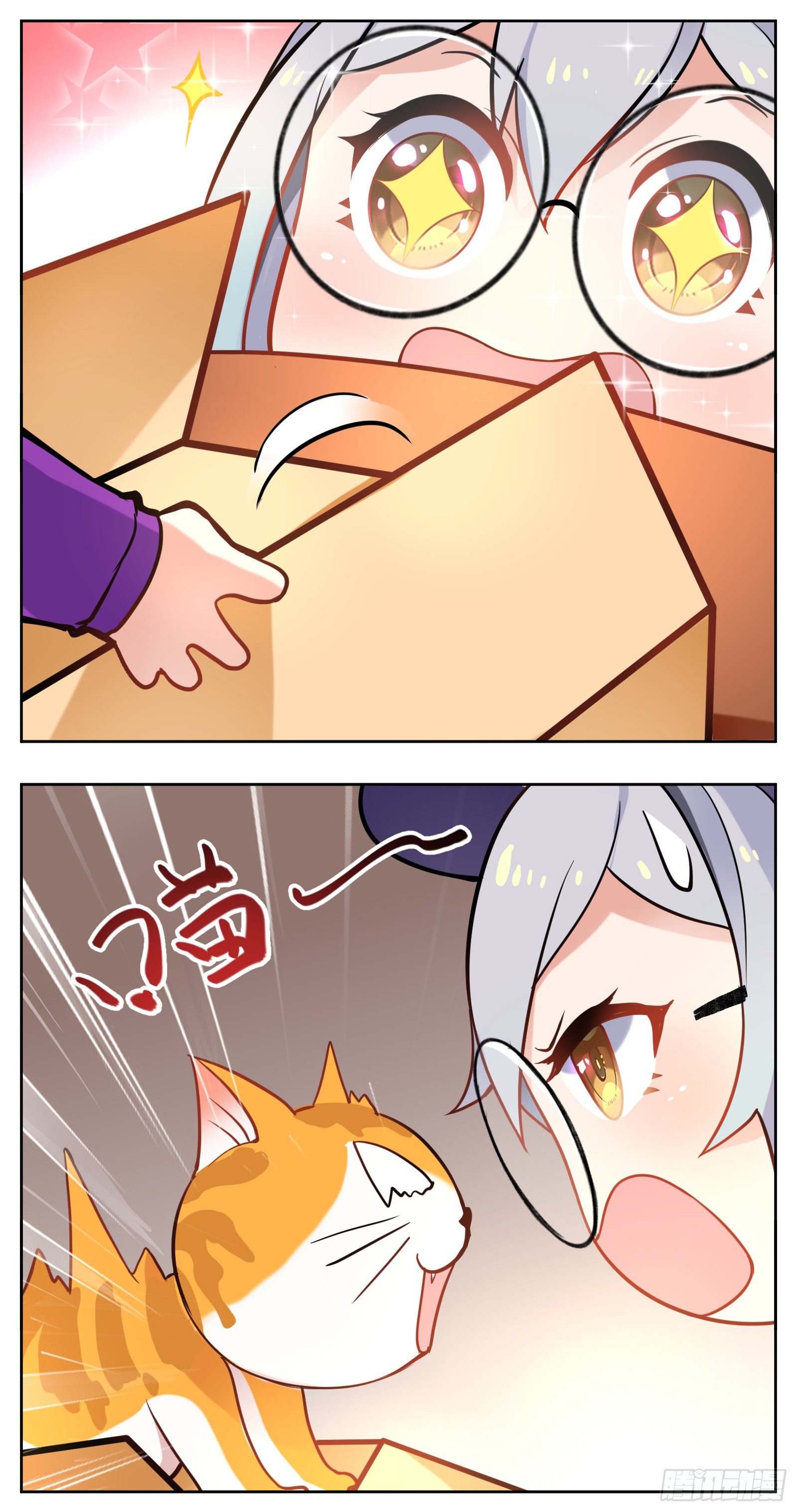 猫咪2